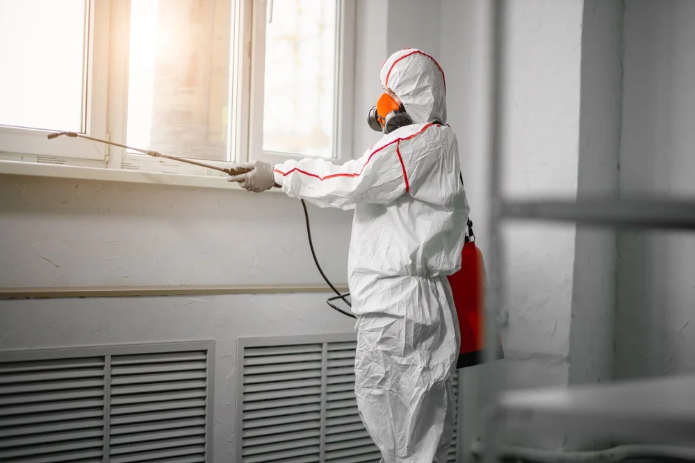 Professional mold remediation services in Brooksville, FL